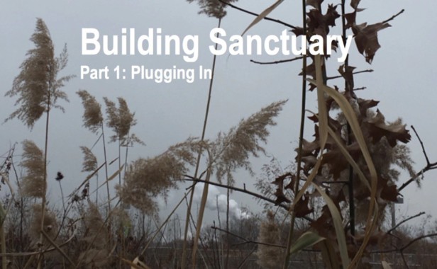 Building Sanctuary: A Dystopian Future We Must Fight To Avoid