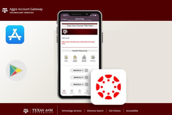 How to Login to Canvas TAMU Mobile App