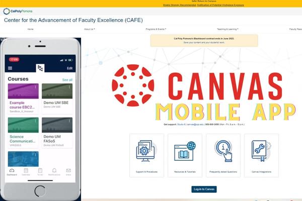 How to Login to CPP Canvas Mobile App