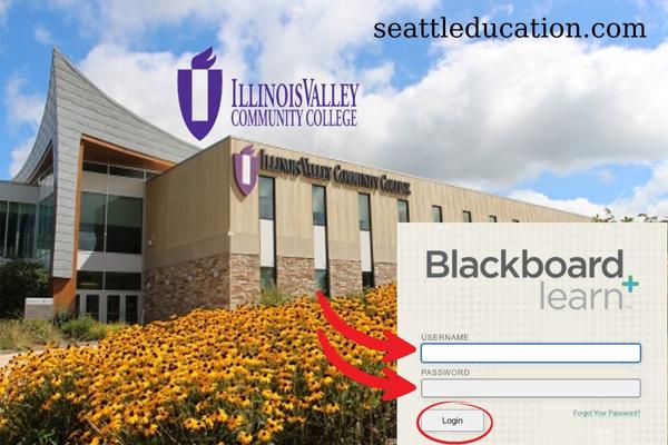 IVCC Blackboard Login Student Information Guides 