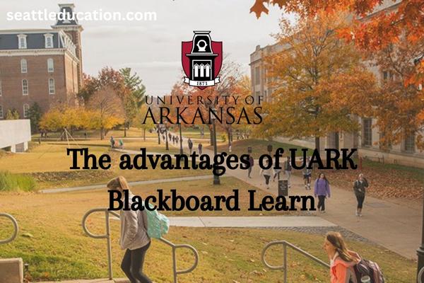 advantages of uark blackboard learn
