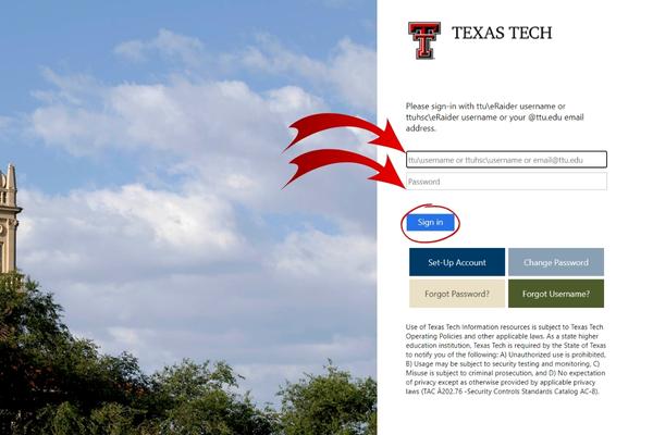 TTU Blackboard Login Online Portal | Texas Tech University