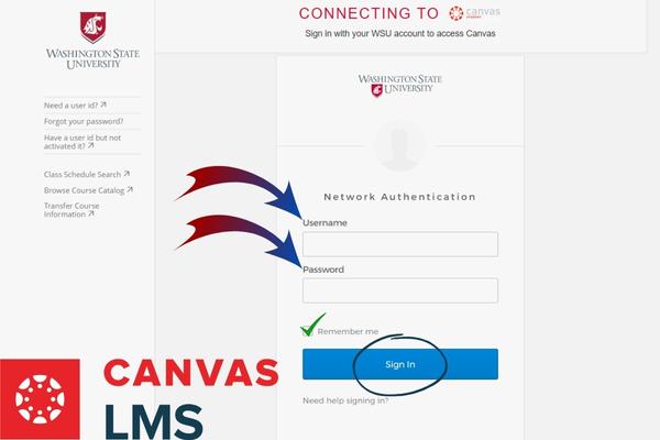 WSU Canvas Login Student Portal Washington State University