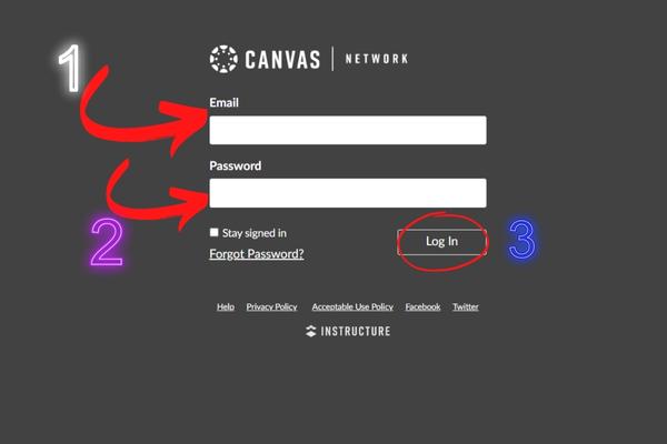 Canvas for students login online