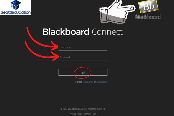 logging into Blackboard learning accounts