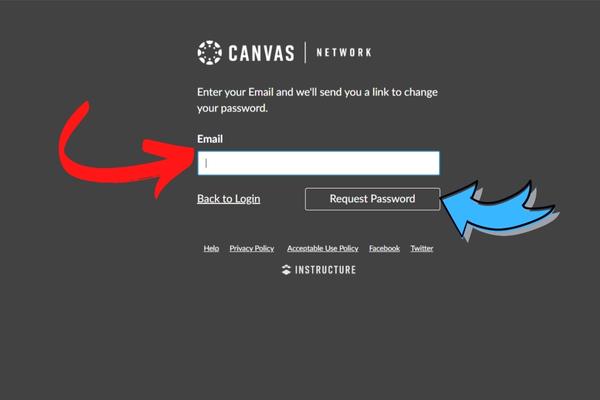 Recover password for canvas app