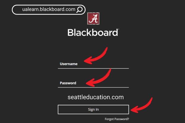 Blackboard Learn UA Login Page Tutorials From Computer