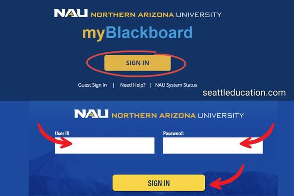 How To Access NAU Blackboard Learn