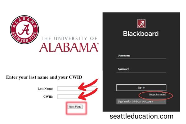 How To Reset Your UA Blackboard Password