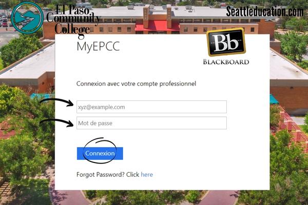accessing epcc blackboard learn login