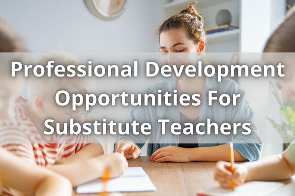 Preparing For A Successful Substitute Teaching Experience