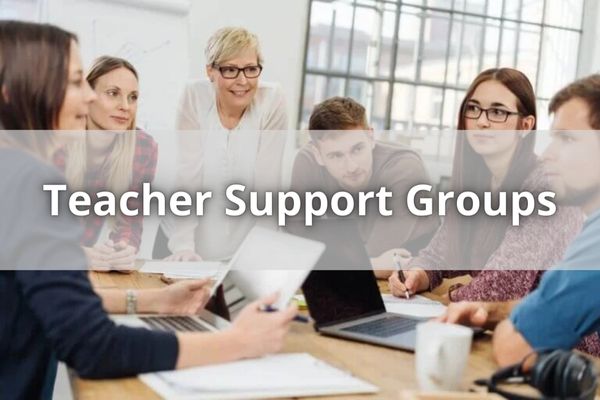 Teacher Support Groups