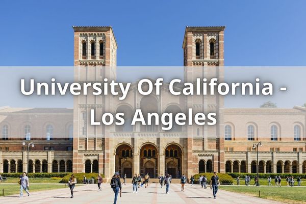 University Of California - Los Angeles