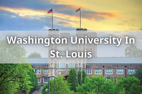 Washington University In St. Louis