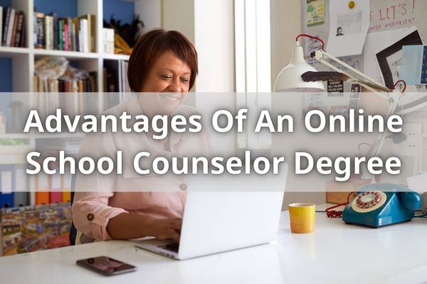 Advantages Of An Online School Counselor Degree