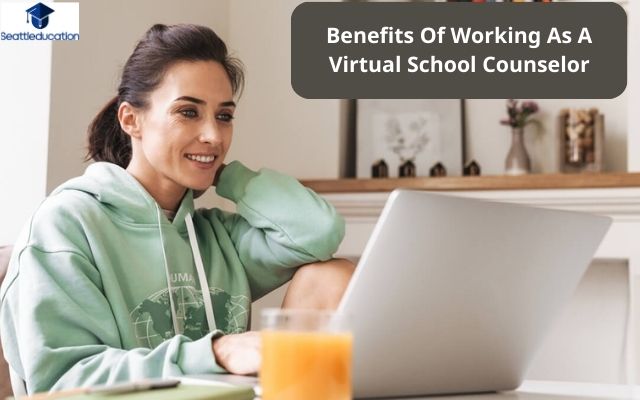 Benefits Of Working As A Virtual School Counselor