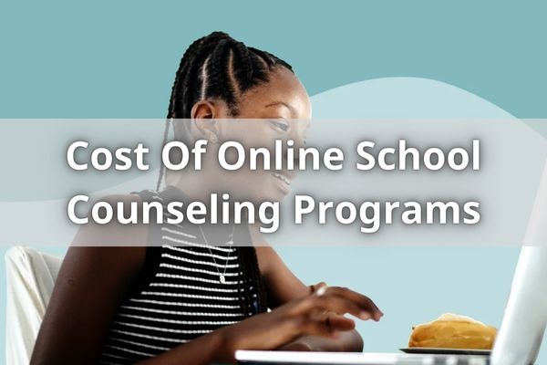 Cost Of Online School Counseling Programs