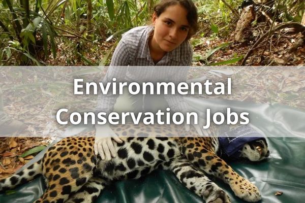Environmental Conservation Jobs