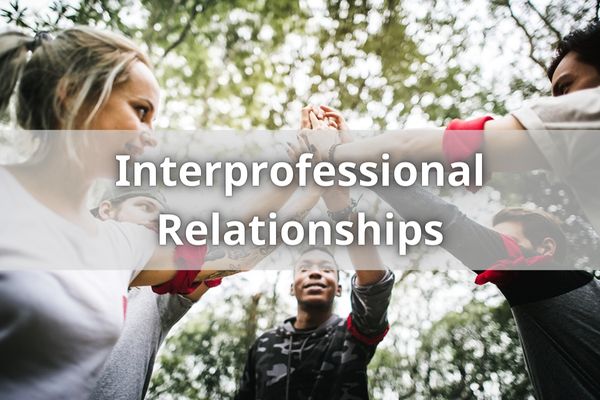 Interprofessional Relationships