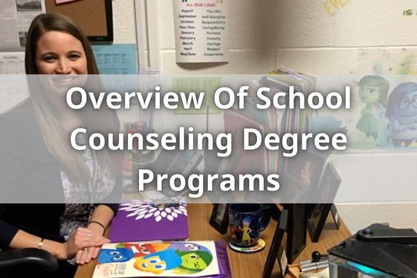 Overview Of School Counseling Degree Programs