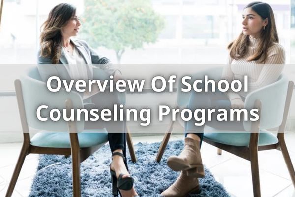 Overview Of School Counseling Programs