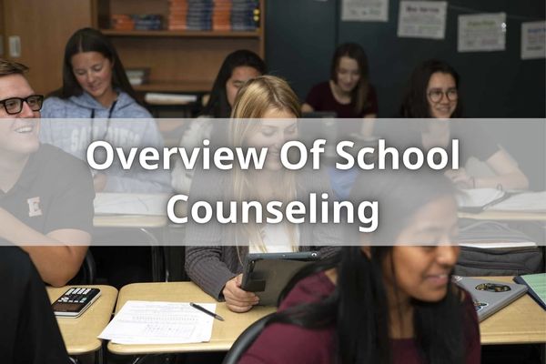 Overview Of School Counseling