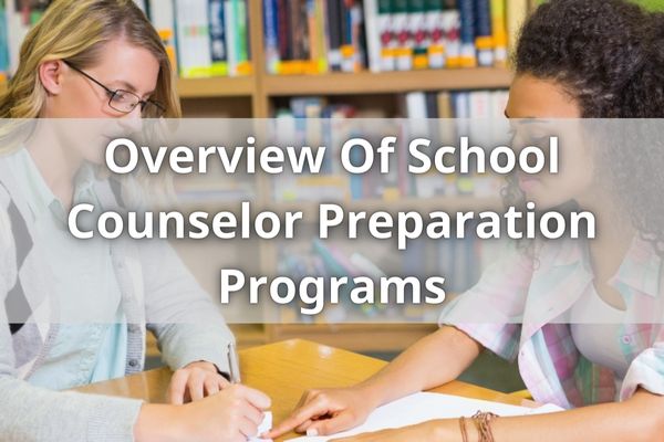 Overview Of School Counselor Preparation Programs