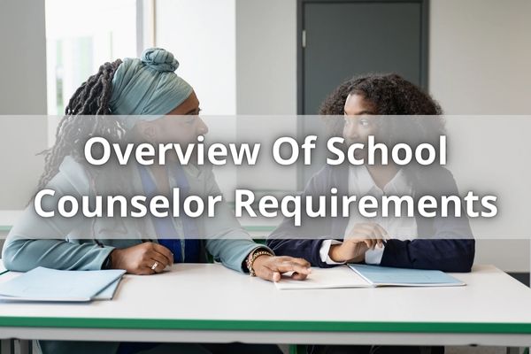 Overview Of School Counselor Requirements
