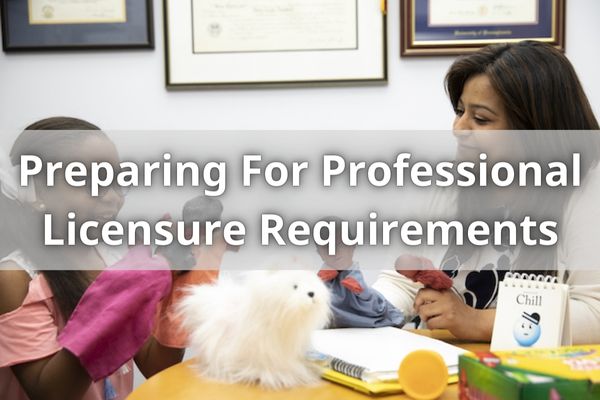 Preparing For Professional Licensure Requirements