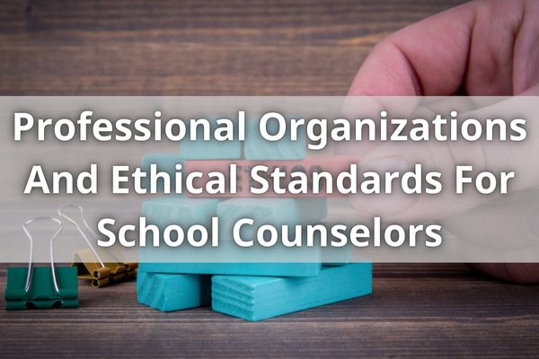 Professional Organizations And Ethical Standards For School Counselors