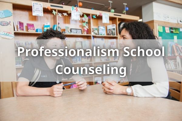 Professionalism School Counseling