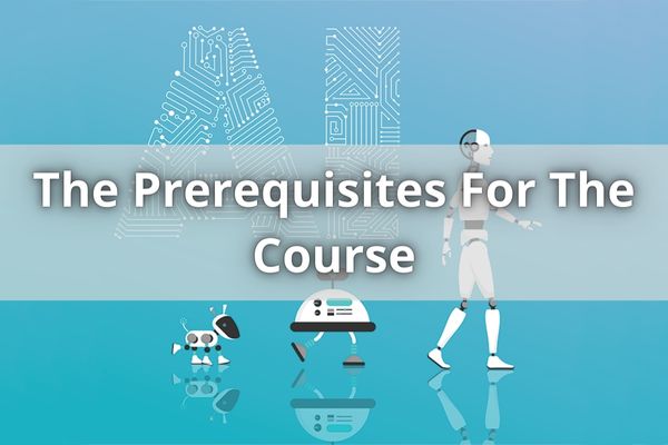 The Prerequisites For The Course