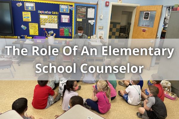 The Role Of An Elementary School Counselor