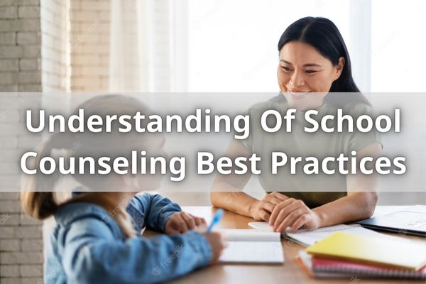 Understanding Of School Counseling Best Practices