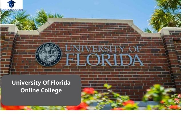 University Of Florida Online College