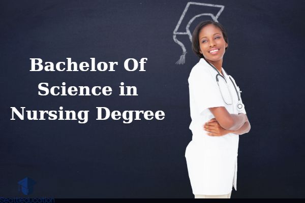 Bachelor Of Science in Nursing Degree